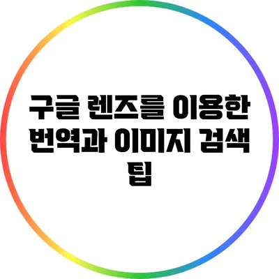 구글 렌즈를 이용한 번역과 이미지 검색 팁