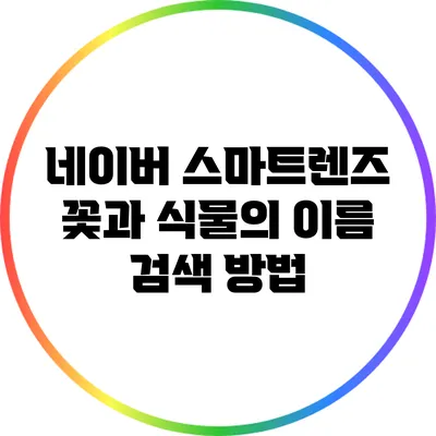 네이버 스마트렌즈: 꽃과 식물의 이름 검색 방법