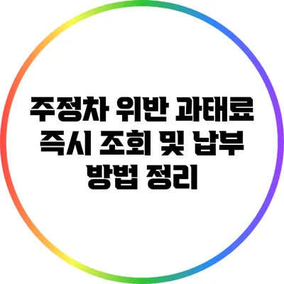 주정차 위반 과태료 즉시 조회 및 납부 방법 정리