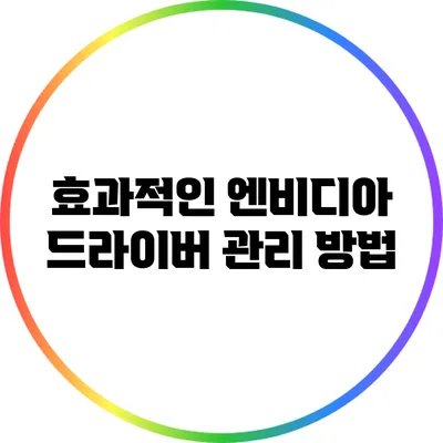 효과적인 엔비디아 드라이버 관리 방법