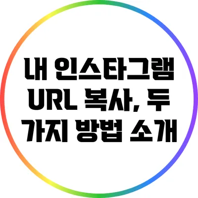 내 인스타그램 URL 복사, 두 가지 방법 소개