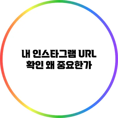 내 인스타그램 URL 확인: 왜 중요한가?