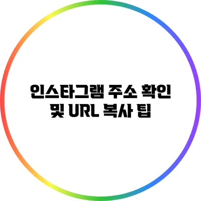 인스타그램 주소 확인 및 URL 복사 팁