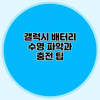 갤럭시 배터리 수명 파악과 충전 팁