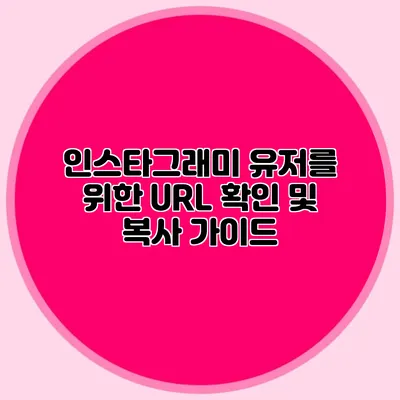 인스타그래미 유저를 위한 URL 확인 및 복사 가이드