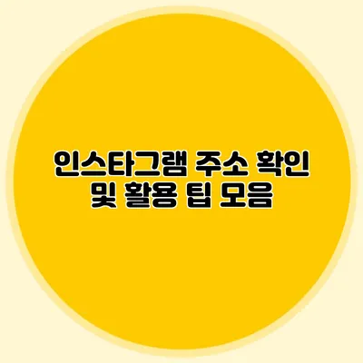 인스타그램 주소 확인 및 활용 팁 모음