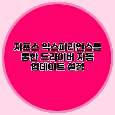 지포스 익스피리언스를 통한 드라이버 자동 업데이트 설정