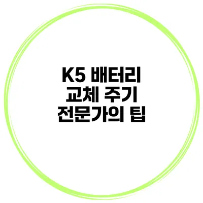 K5 배터리 교체 주기 전문가의 팁