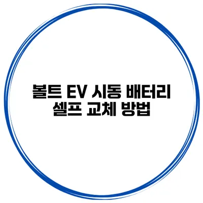 볼트 EV 시동 배터리 셀프 교체 방법