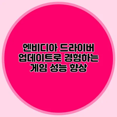 엔비디아 드라이버 업데이트로 경험하는 게임 성능 향상