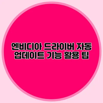 엔비디아 드라이버 자동 업데이트 기능 활용 팁